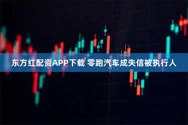 东方红配资APP下载 零跑汽车成失信被执行人