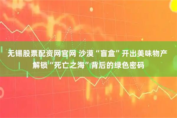 无锡股票配资网官网 沙漠“盲盒”开出美味物产 解锁“死亡之海”背后的绿色密码