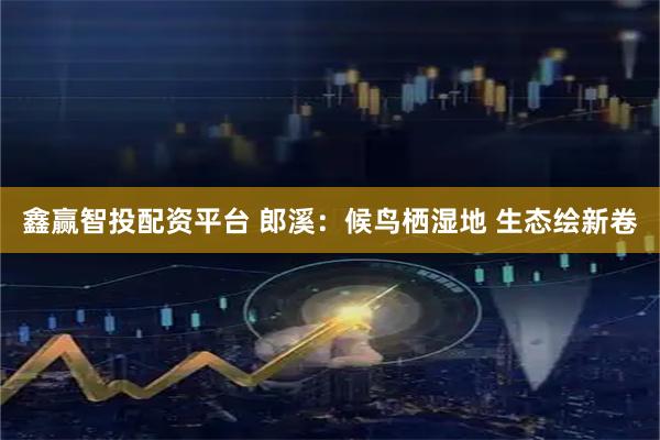 鑫赢智投配资平台 郎溪：候鸟栖湿地 生态绘新卷