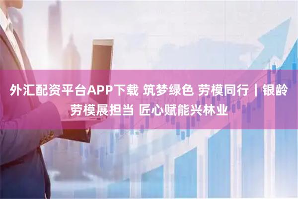 外汇配资平台APP下载 筑梦绿色 劳模同行｜银龄劳模展担当 匠心赋能兴林业