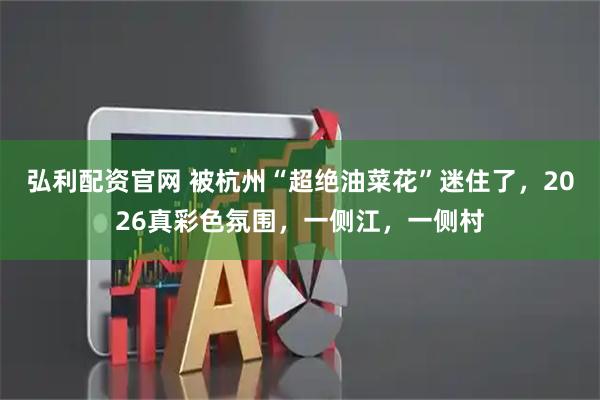 弘利配资官网 被杭州“超绝油菜花”迷住了，2026真彩色氛围，一侧江，一侧村